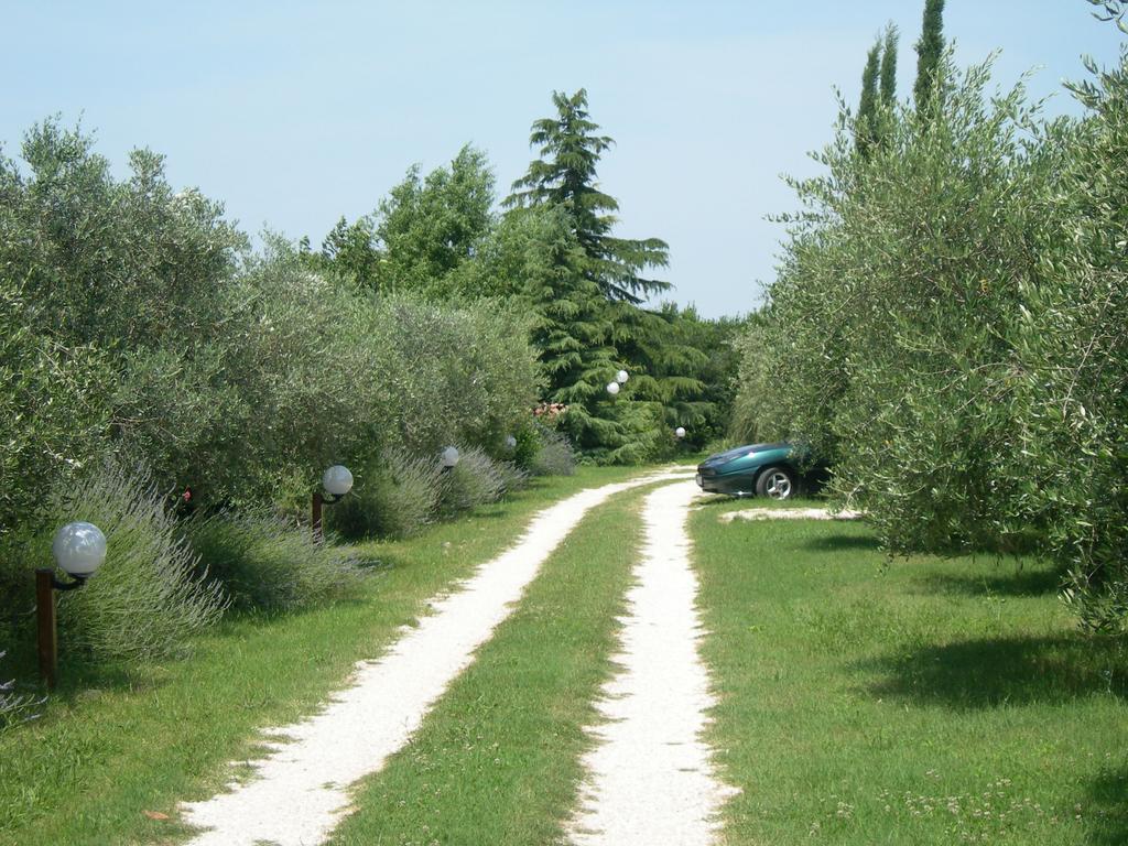 Vista Assisi B&B 외부 사진