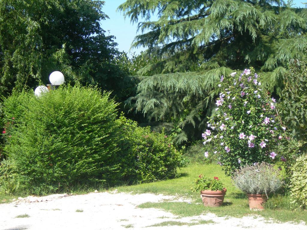 Vista Assisi B&B 외부 사진