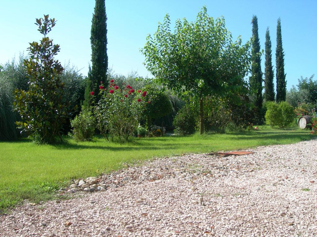 Vista Assisi B&B 외부 사진