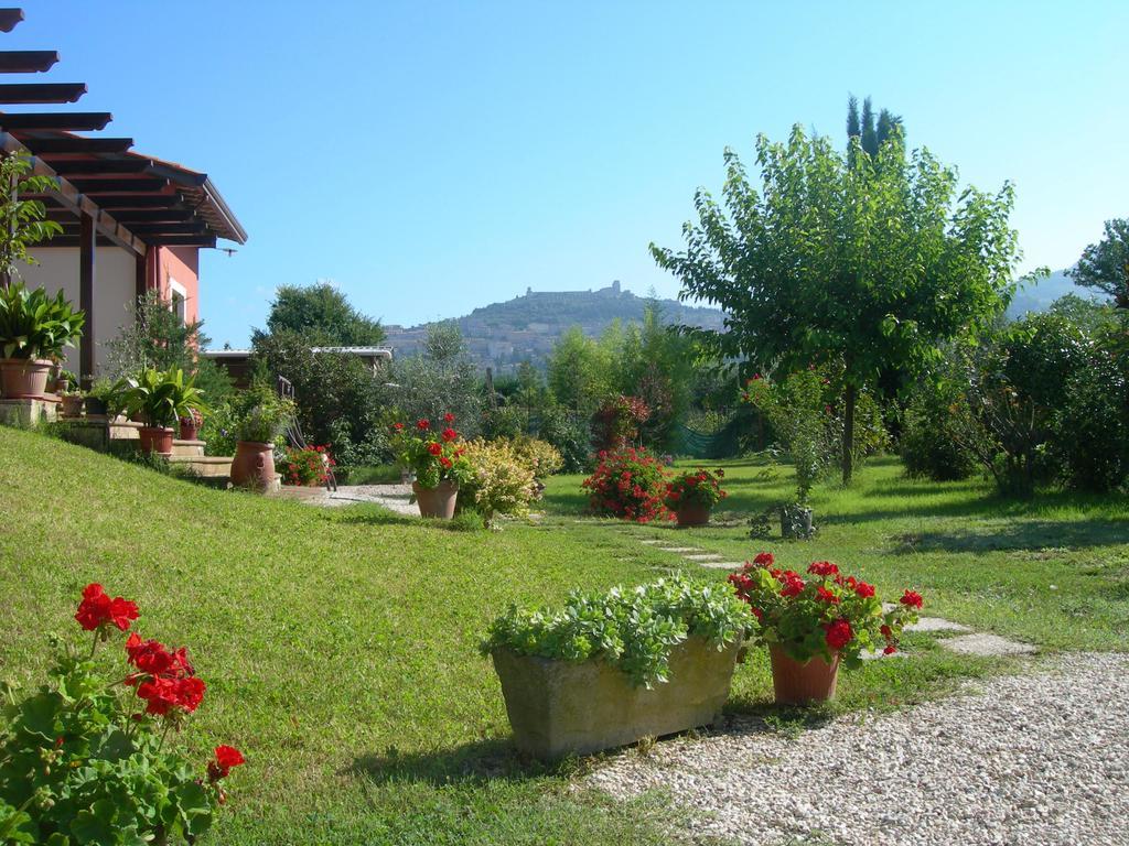 Vista Assisi B&B 외부 사진