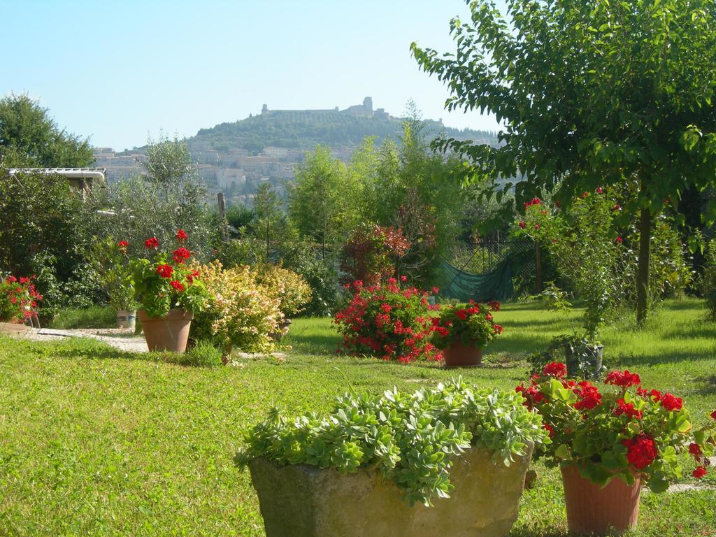 Vista Assisi B&B 외부 사진