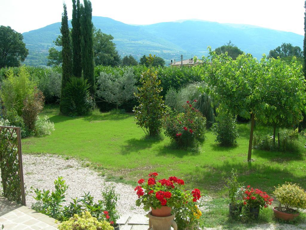Vista Assisi B&B 외부 사진