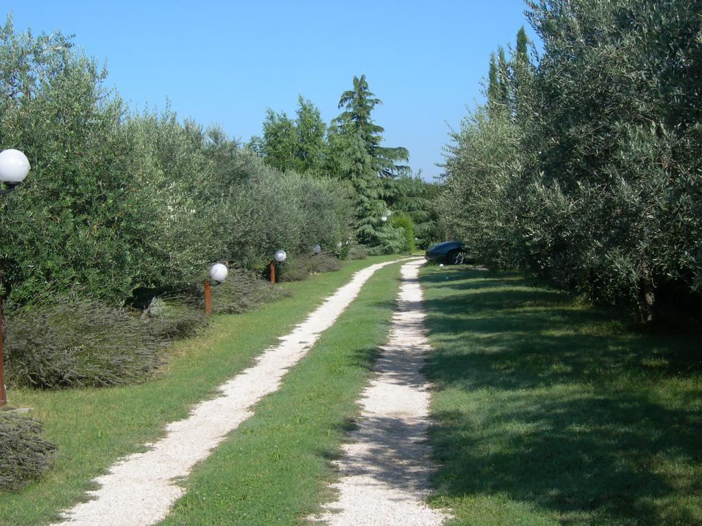 Vista Assisi B&B 외부 사진